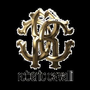 Primavera-verano: Roberto Cavalli colecci�n 2013